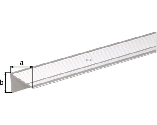Trapprofiel, aluminium, zilver geanodiseerd, 45x23x2,7 mm, 2 m