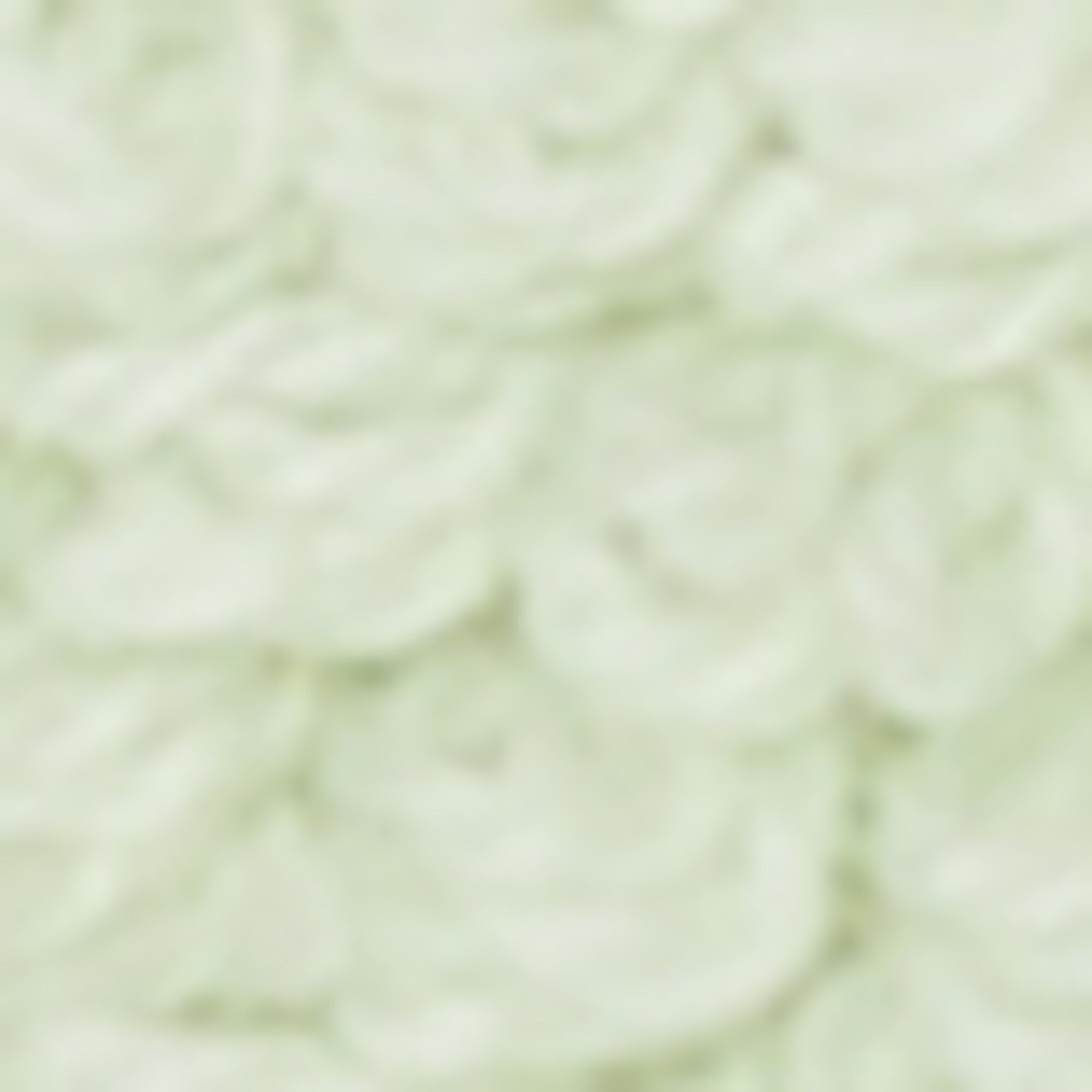 Handtuch Modell TIMELESS aus Organic Cotton Terry