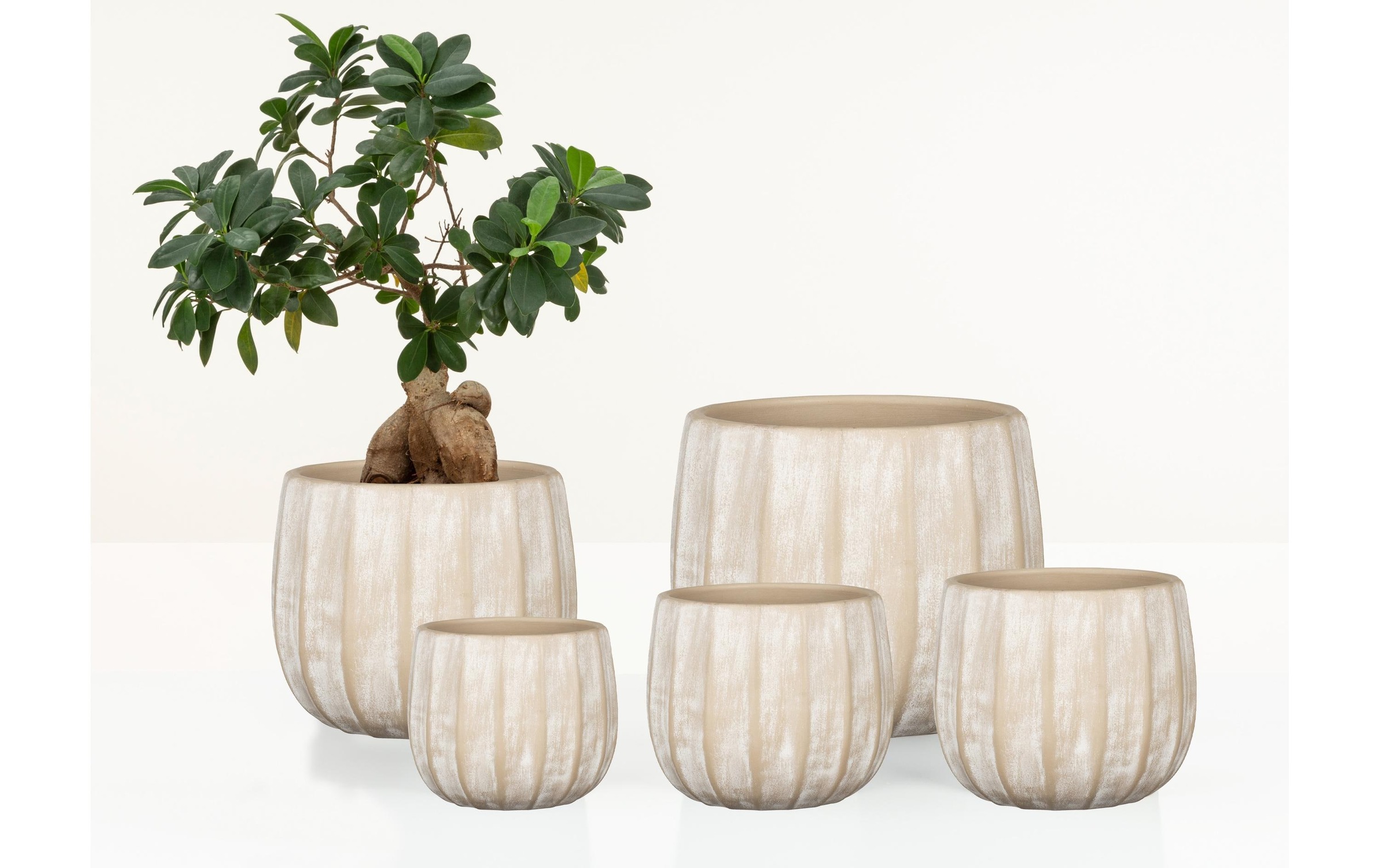Scheurich Blumentopf »Runa 13 l«