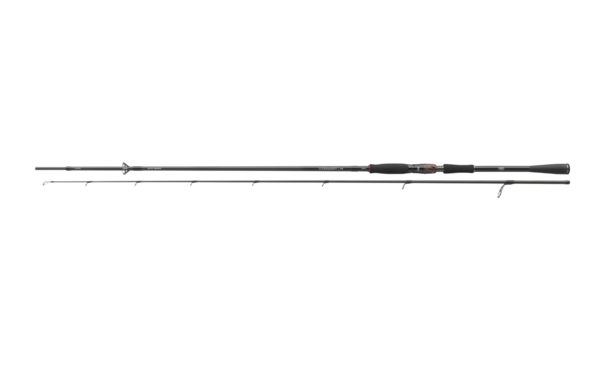 Canne Spinning Daiwa Tournament AGS