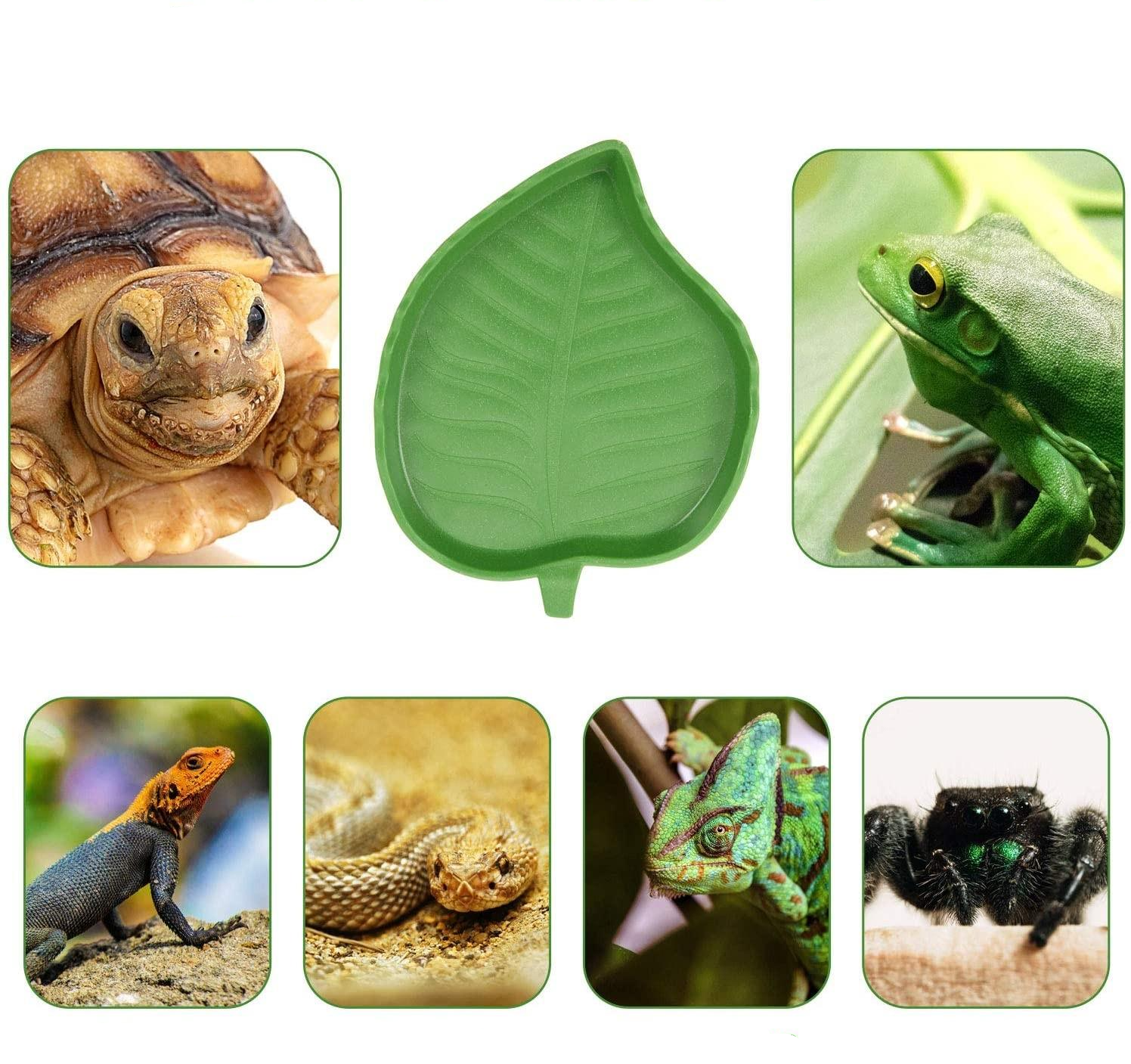 (2er Set) 2in1 Reptilien Futter Teller Wasser Schale Terrarium Zubehör für Schildkröten / Eidechsen / Chamäleon - Grün