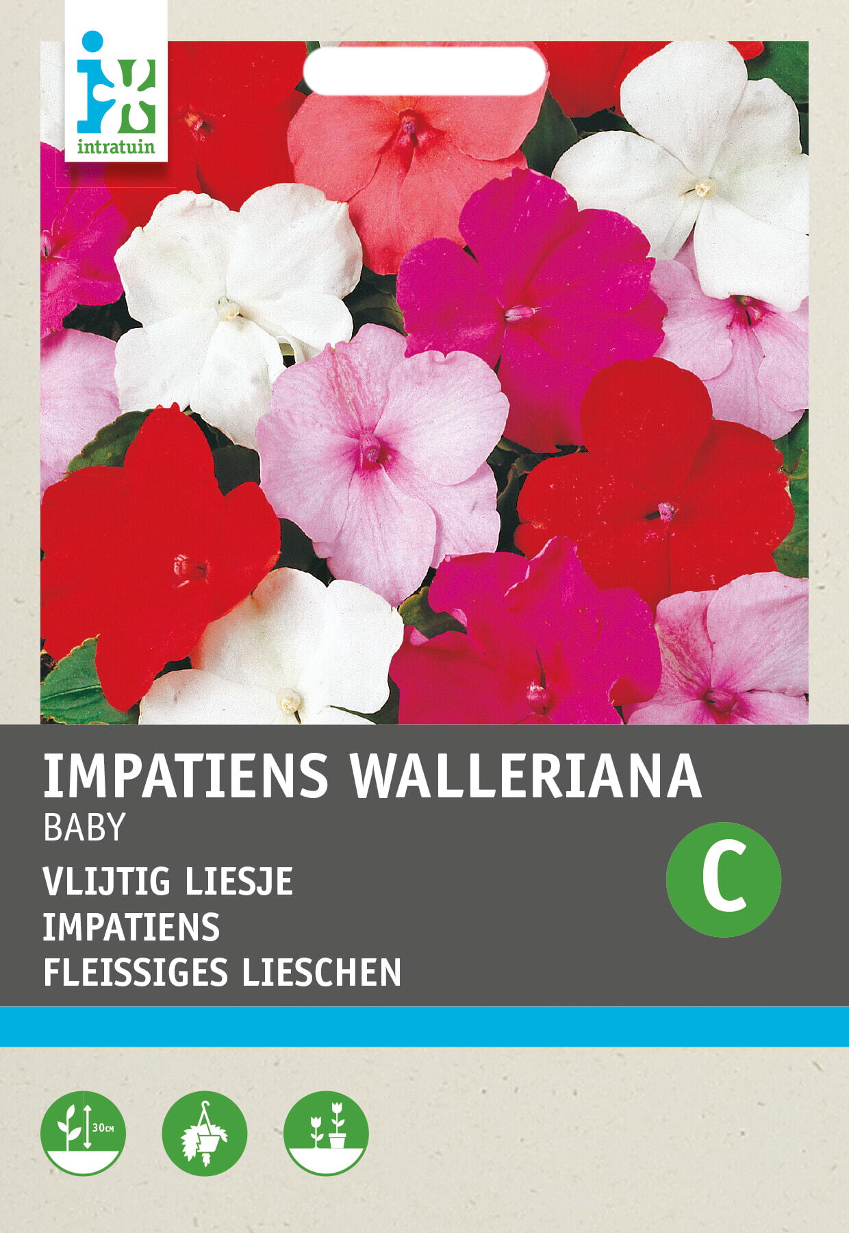 Intratuin bloemenzaad Vlijtig Liesje gemengd (Impatiens walleriana 'Nana Baby')