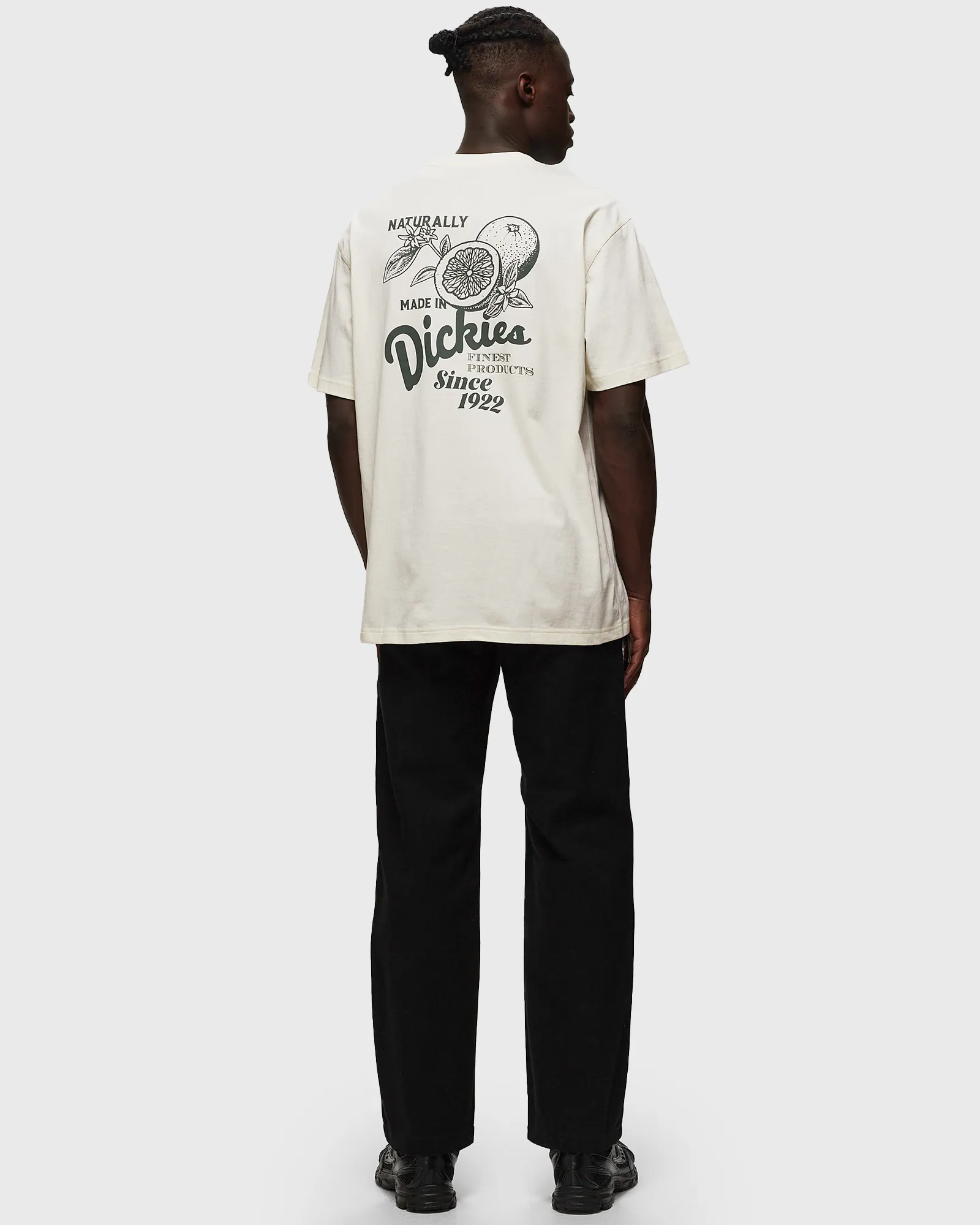 DICKIES RAVEN TEE SS CLOUD
