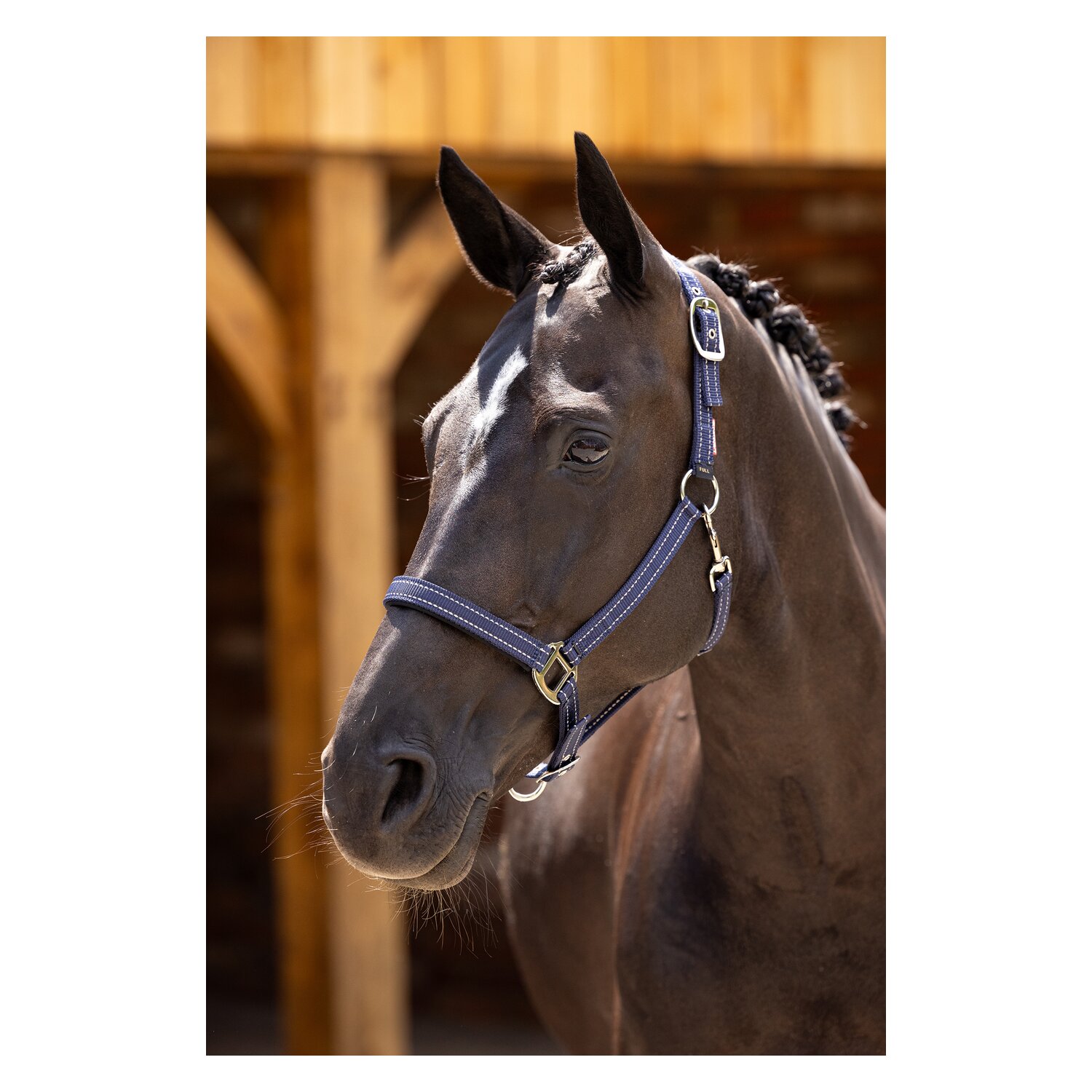 LeMieux Core Halfter Neoprene Yard - navy