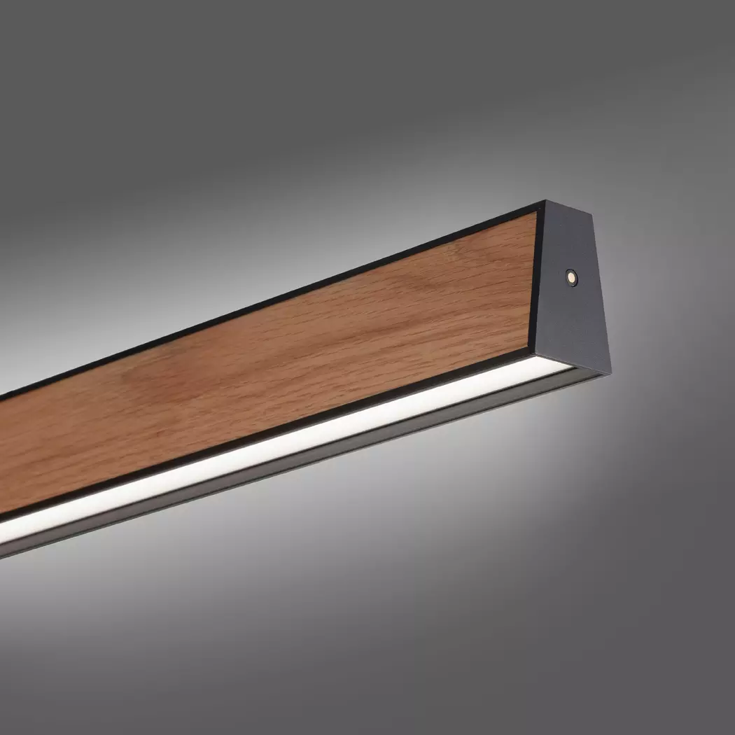 LED-Pendelleuchte Pure-E-Motion