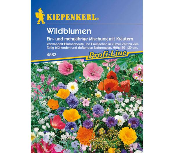 Wildblumen mit Kräutern Mix, Saatgut von