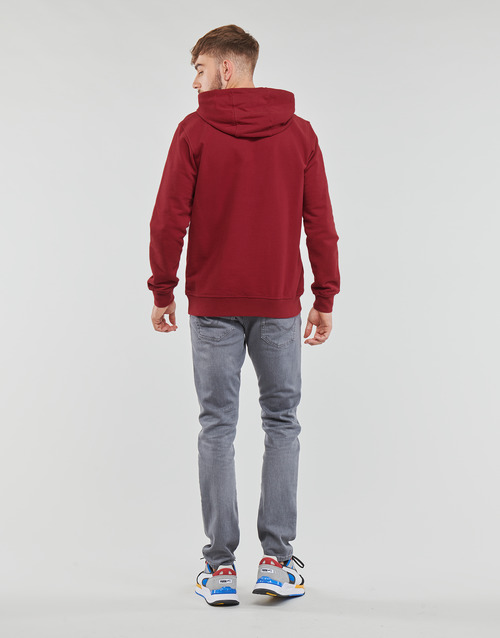 Helly Hansen - W HH LOGO HOODIE - Rouge