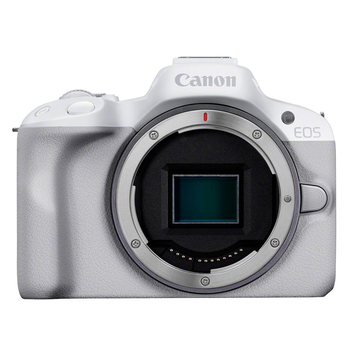 Canon EOS R50  RF-S 18-45mm f4.5-6.3 IS