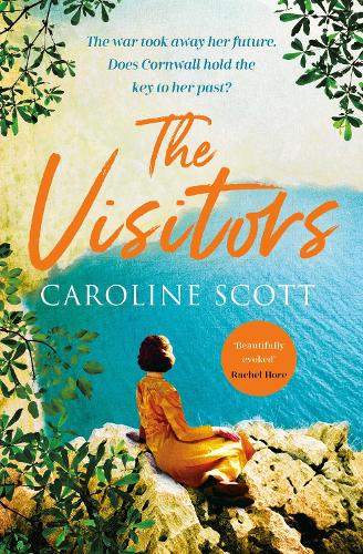 The Visitors (Paperback)