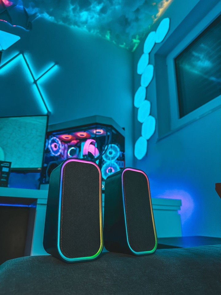 Speedlink - TOKEN RGB Gaming Stereo Højttaler, sort