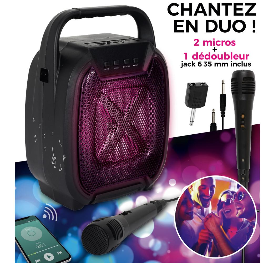 ENCEINTE SANS FIL 8W KARAOKE 2 MICROS INTEGRES