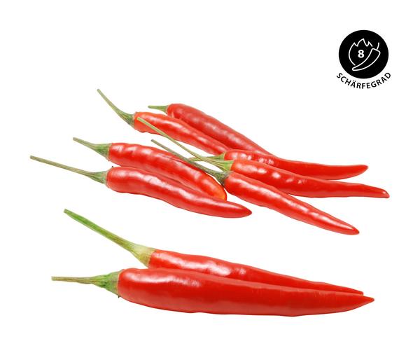 Peperoni 'Piri Piri'