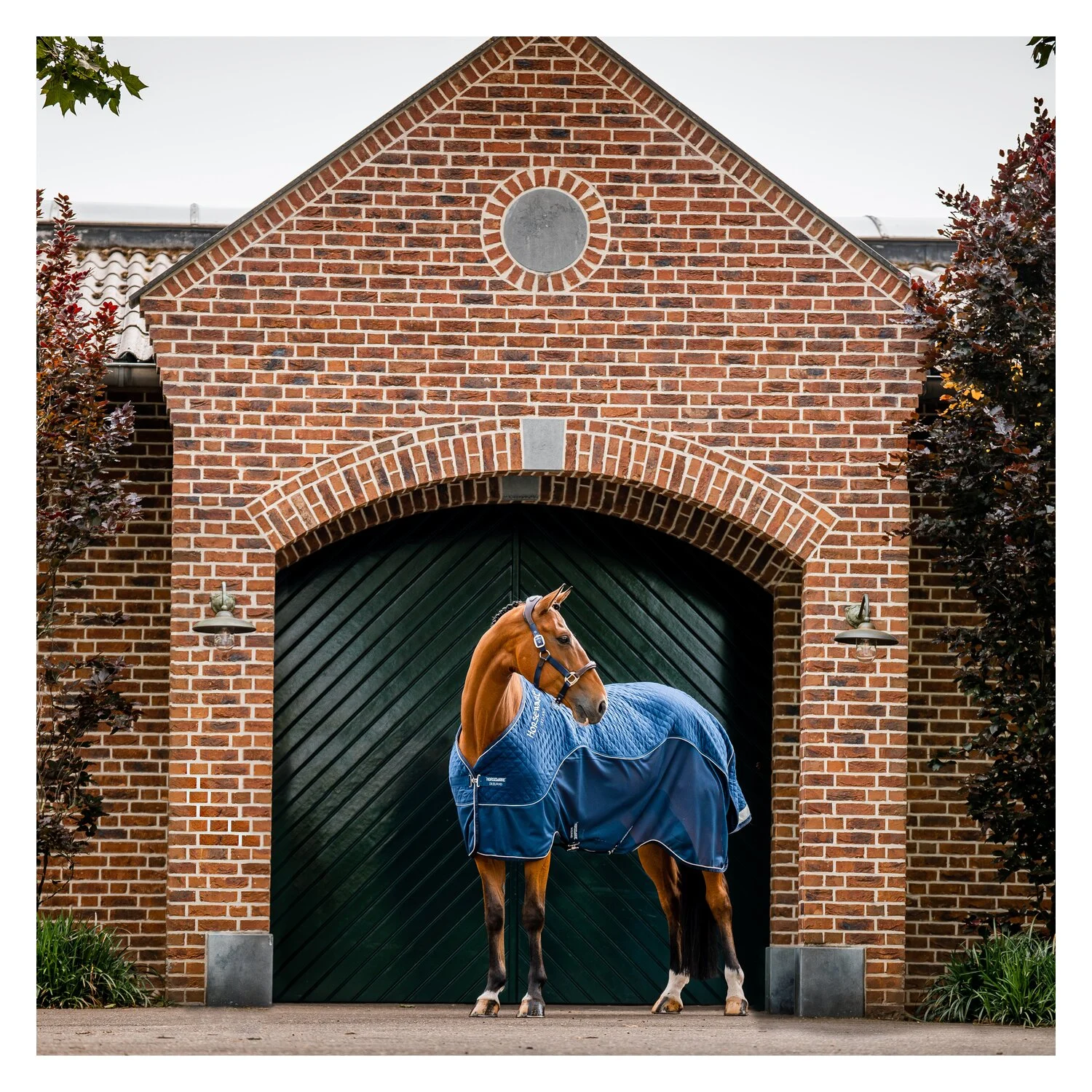 HORSEWARE Signature Transportdecke  - navy