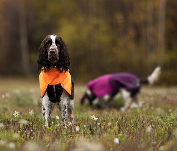Non-stop dogwear Hunde-Regenmantel Fjord