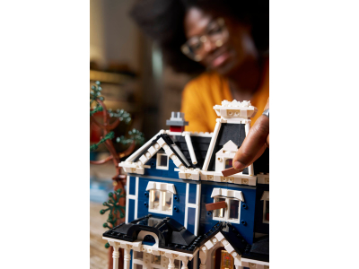 LEGO Stranger Things: Het huis van de familie Creel (11370)