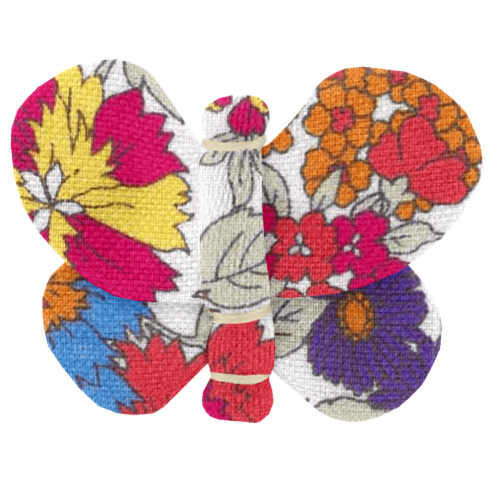 Barrette Petit Papillon Tutti Fleuri