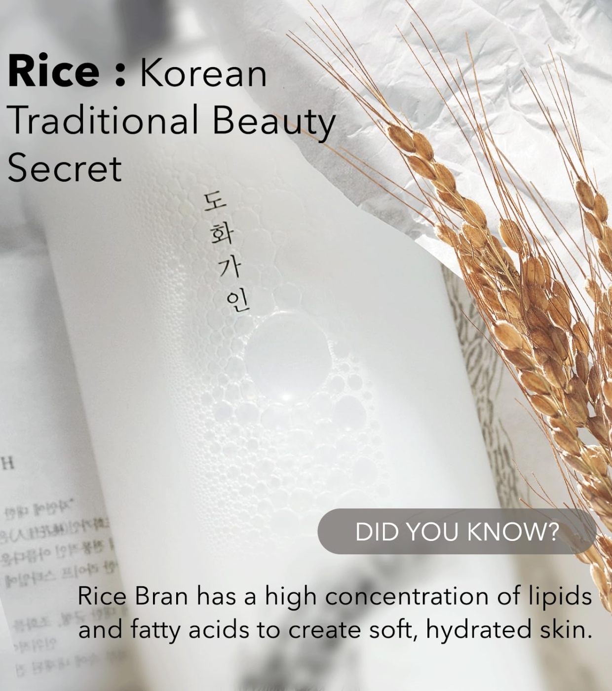 House of Dohwa - Tônico Facial Hidratante de Arroz Rice Bran