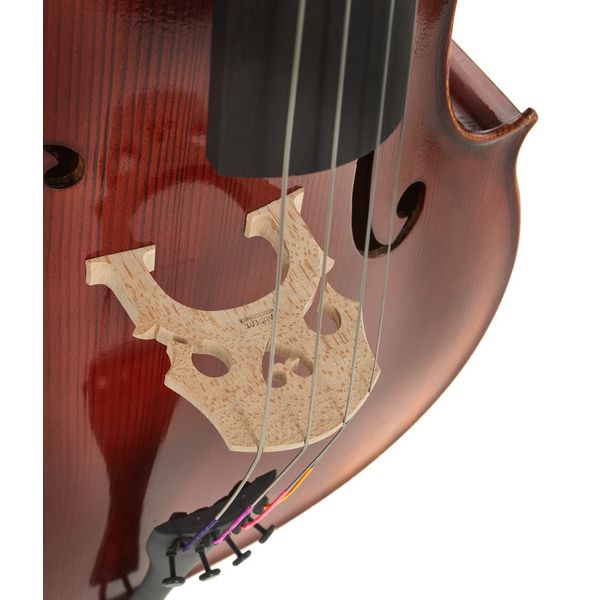 Gewa Maestro 2 Cello Set 4/4 MB
