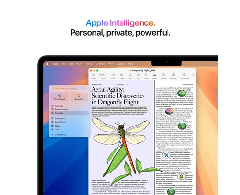Apple 13-inch MacBook Air - M4 chip 10-core CPU   10-core GPU, 24GB RAM, 512GB SSD - Midnight