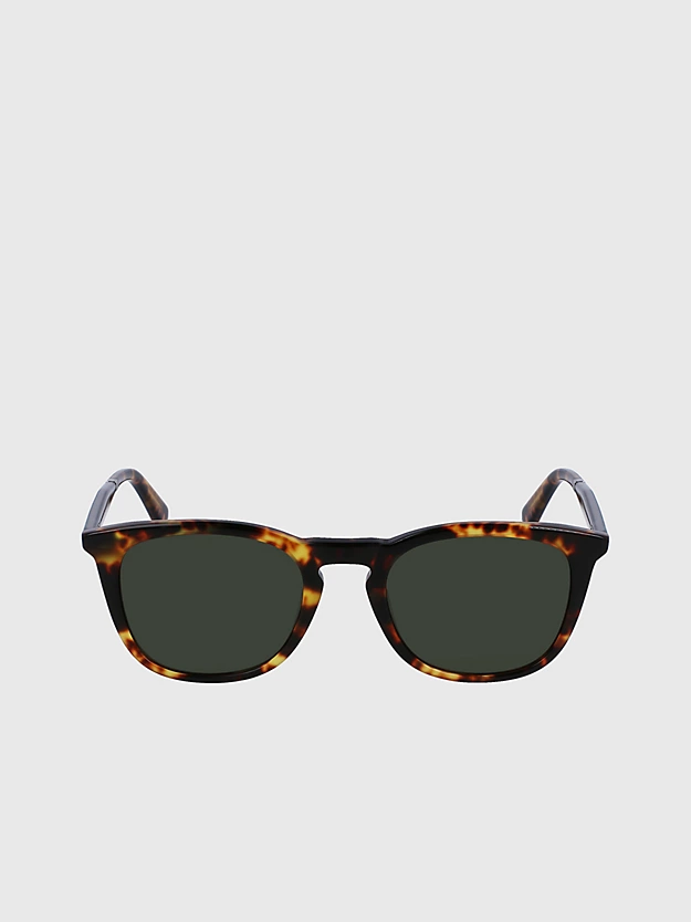 Óculos de linguado rotondi CK23501S
