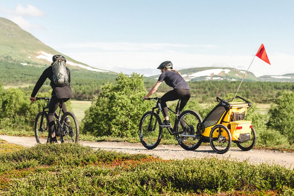 Thule Chariot Sport 2 kaufen | Bike-Discount