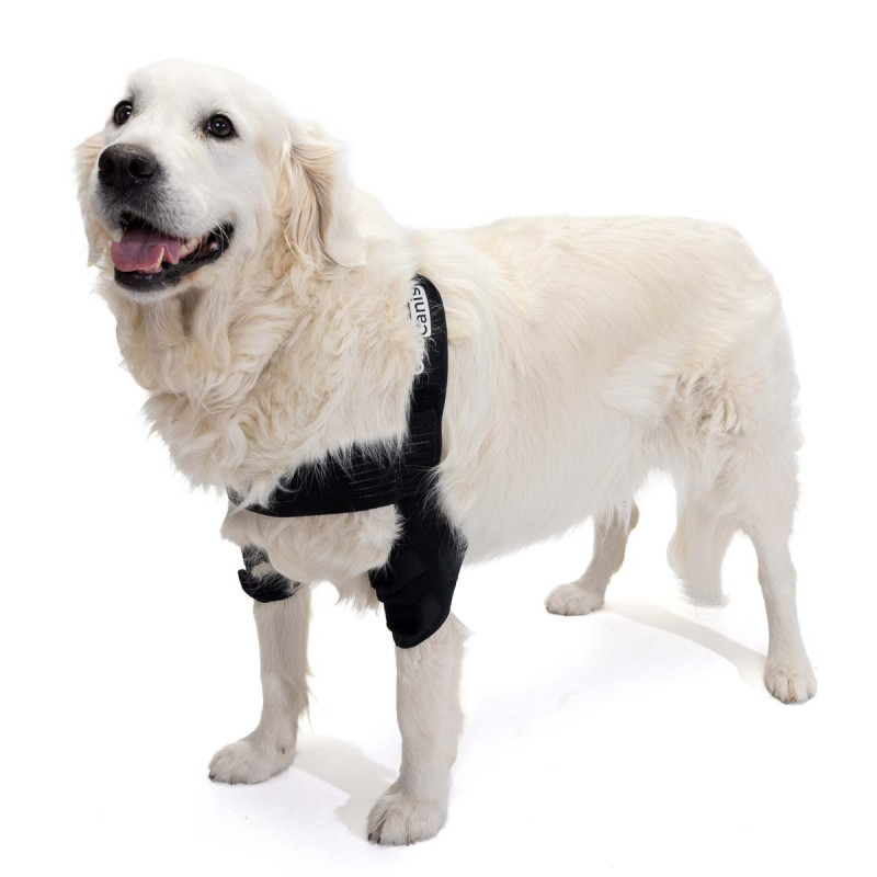 Cotoveleira para cães com artrite no cotovelo, higromas ou luxação do ombro.