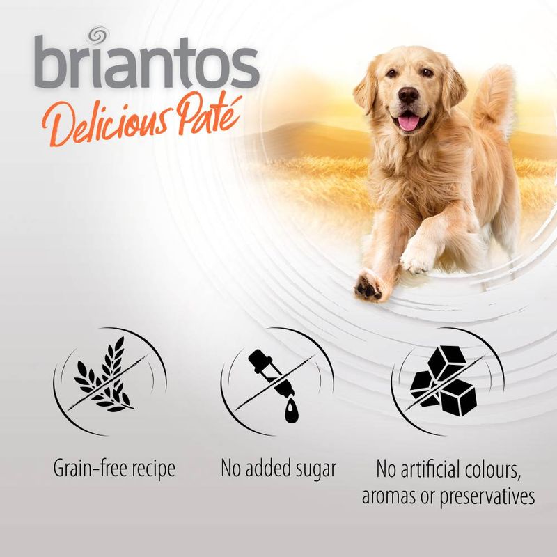 Lot Briantos Delicious Paté 24 x 400 g ✓ pas cher