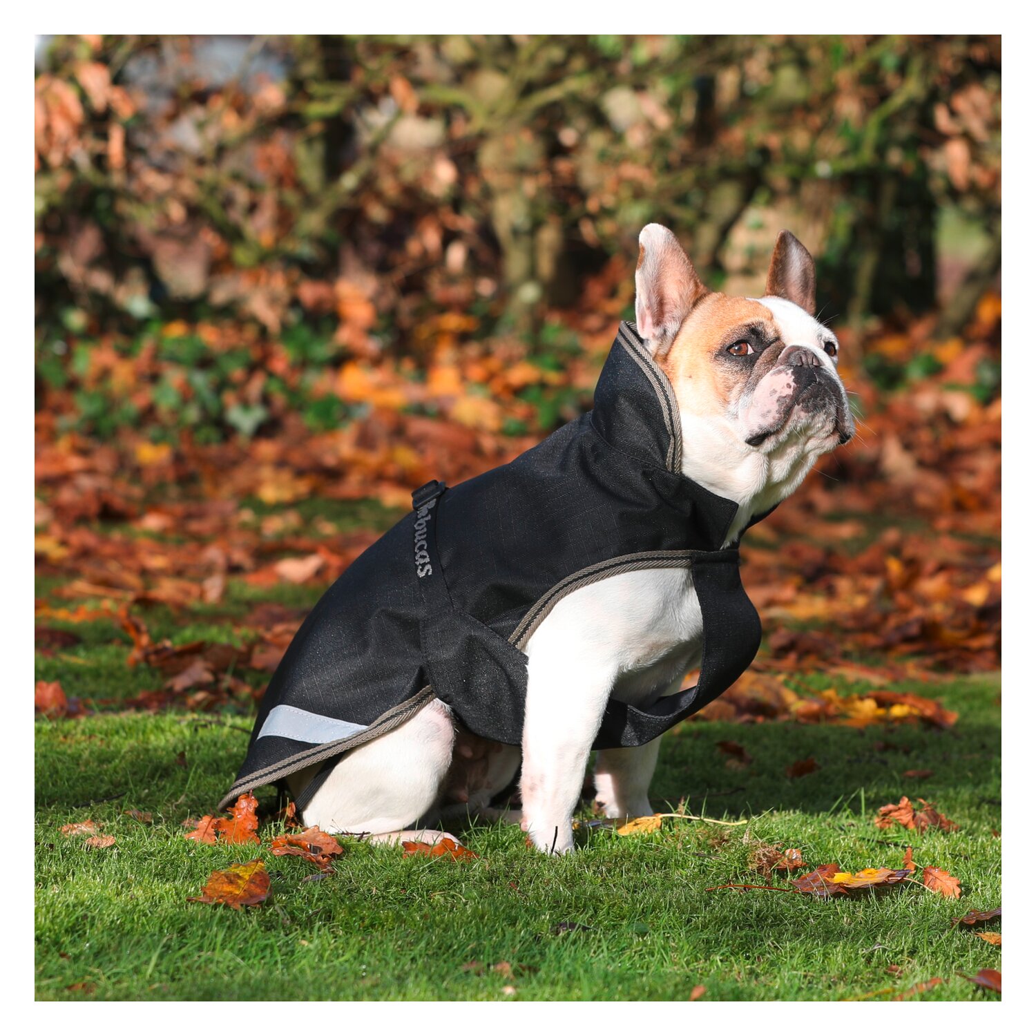 bucas Hundemantel Dog Rug Freedom 50 g - black/taupe