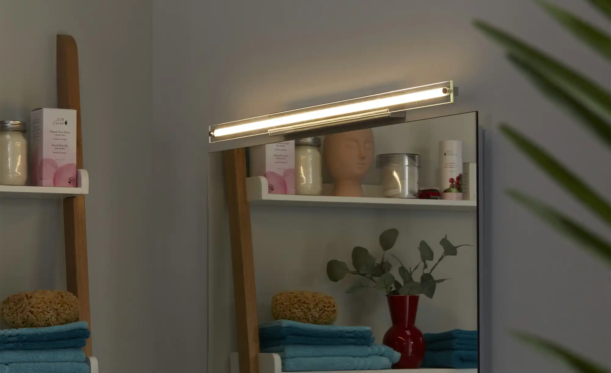 Paul Neuhaus LED-Bad-Wandleuchte, chrom