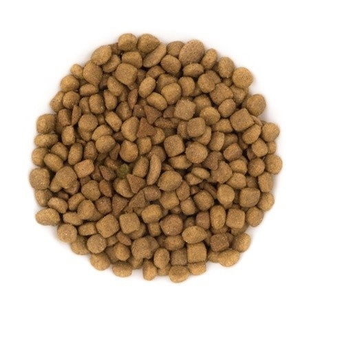 Ração AVANTIS para gatos adultos, sabor frango e arroz.