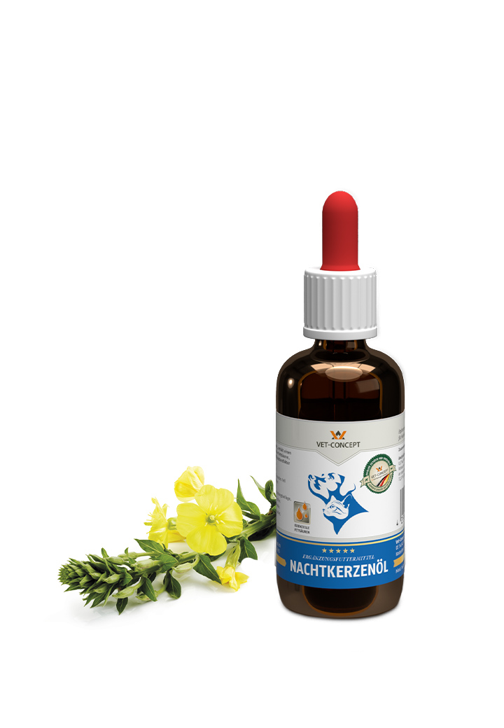 Nachtkerzenül, 50ml