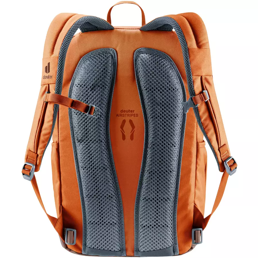 Deuter Gogo - Tagesrucksack 46 cm chestnut-umbra