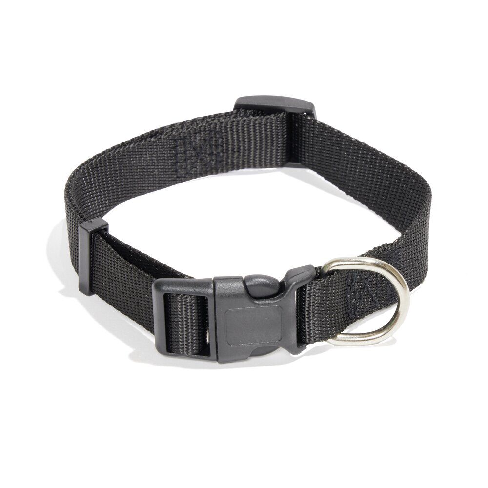 Collier pour chien - Taille L