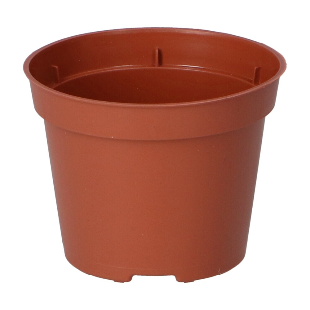 SOGO Plastic Potje Terra Kleur 6 cm30 stuks