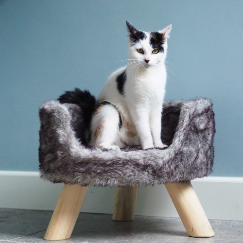 Cama de pelúcia nórdica para gatos District70, prateada
