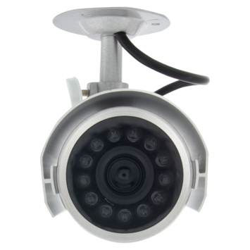 Smartwares Dummy Camera CS22D Binnen/Buiten Aluminium