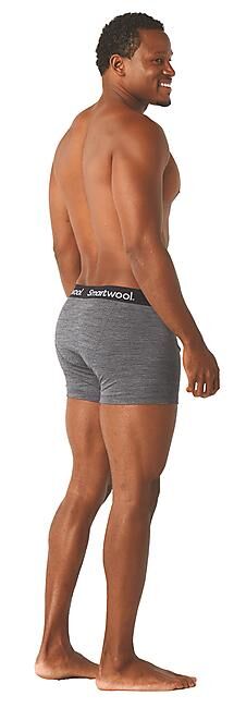 SMARTWOOL - BOXER MEN'S MERINO SPORT 150 BRIEF