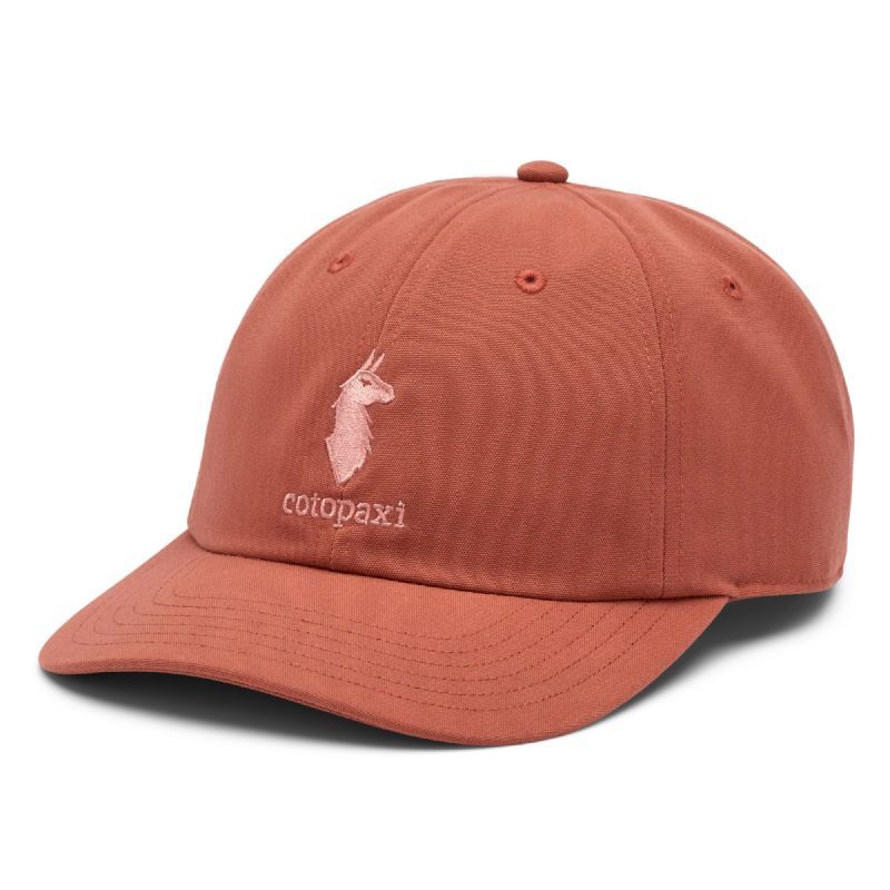 Dad Hat - Casquette