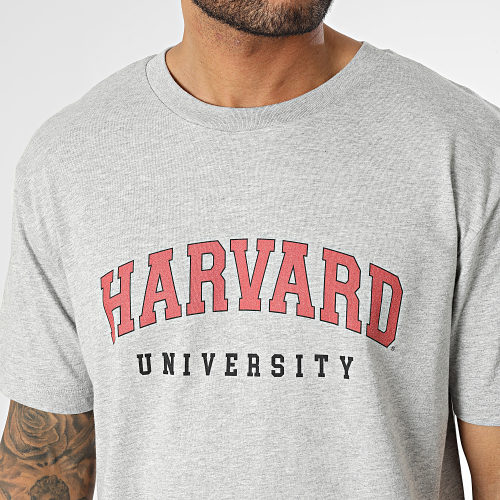 Tee Shirt Oversize Large Harvard Gris Chiné Blanc