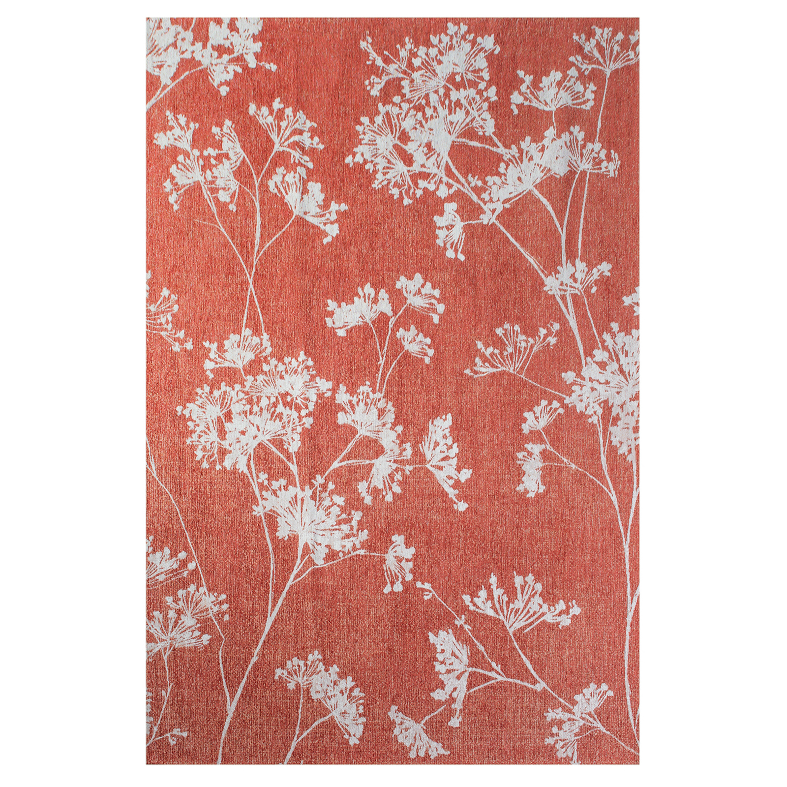 9555-PARSLEY-INFLORESCENCE-200x280cm