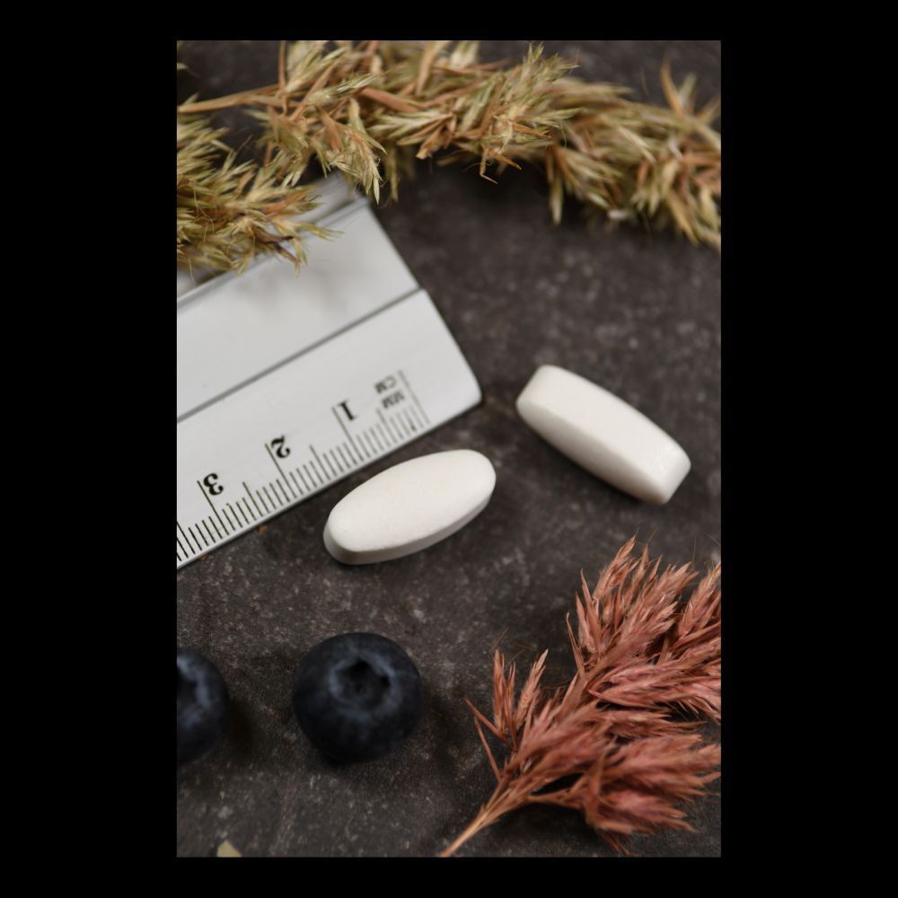 Vitamin B5 1000 mg Pantothensäure