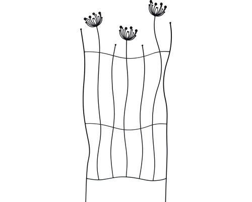 Lafiora Paardenbloem Metalen Trellis 75 x 180 cm Zwart