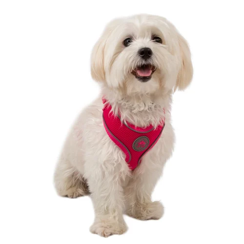 Coleira para cães TK-Pet Soft Reflective Pink