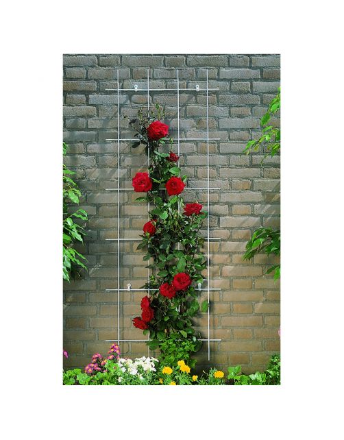Nature Metalen Klimrek Geplastificeerd - Klim-En Geleide Artikel - H145x72.5 cm Groen