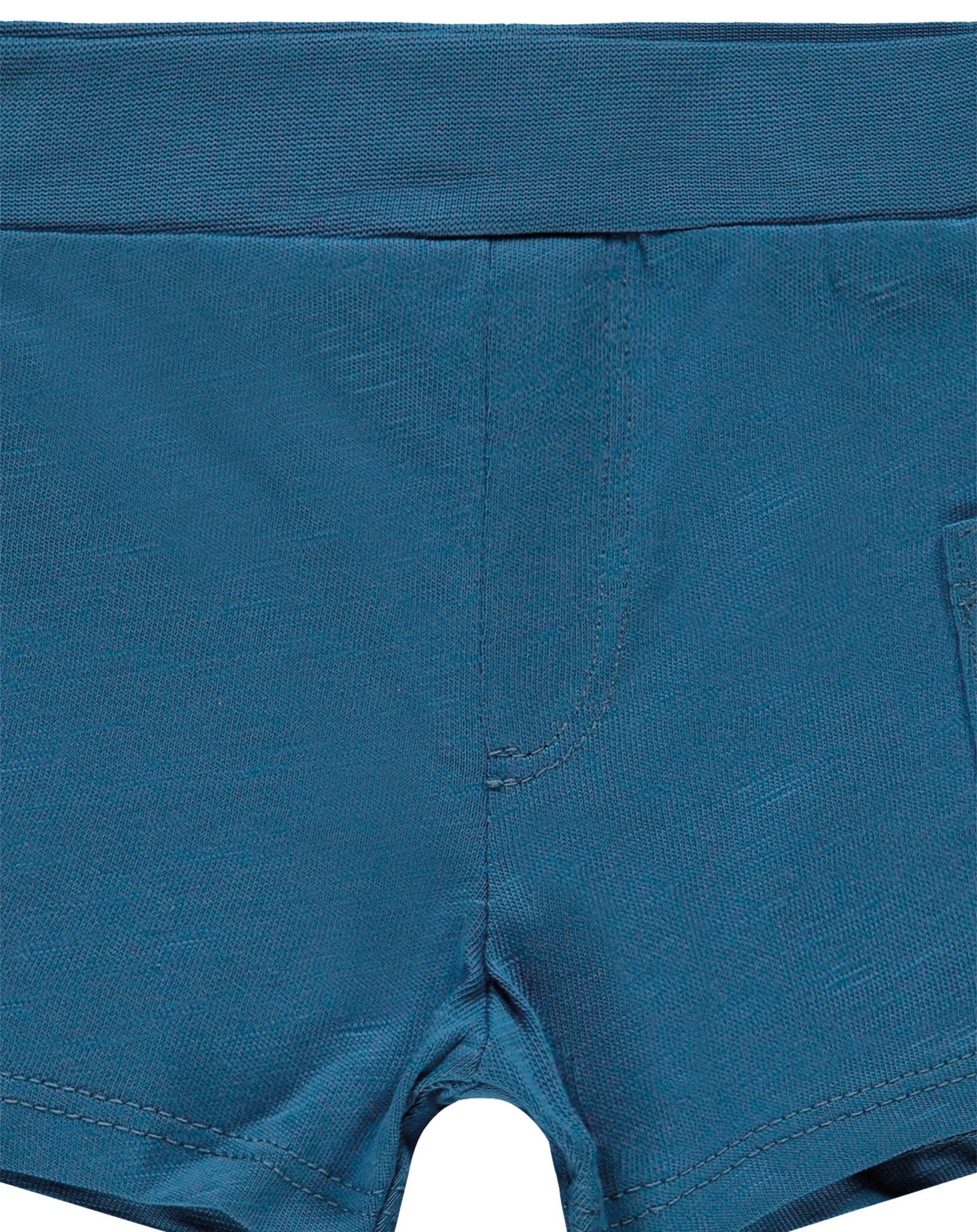 Shorts CACTUS in vallarta blue