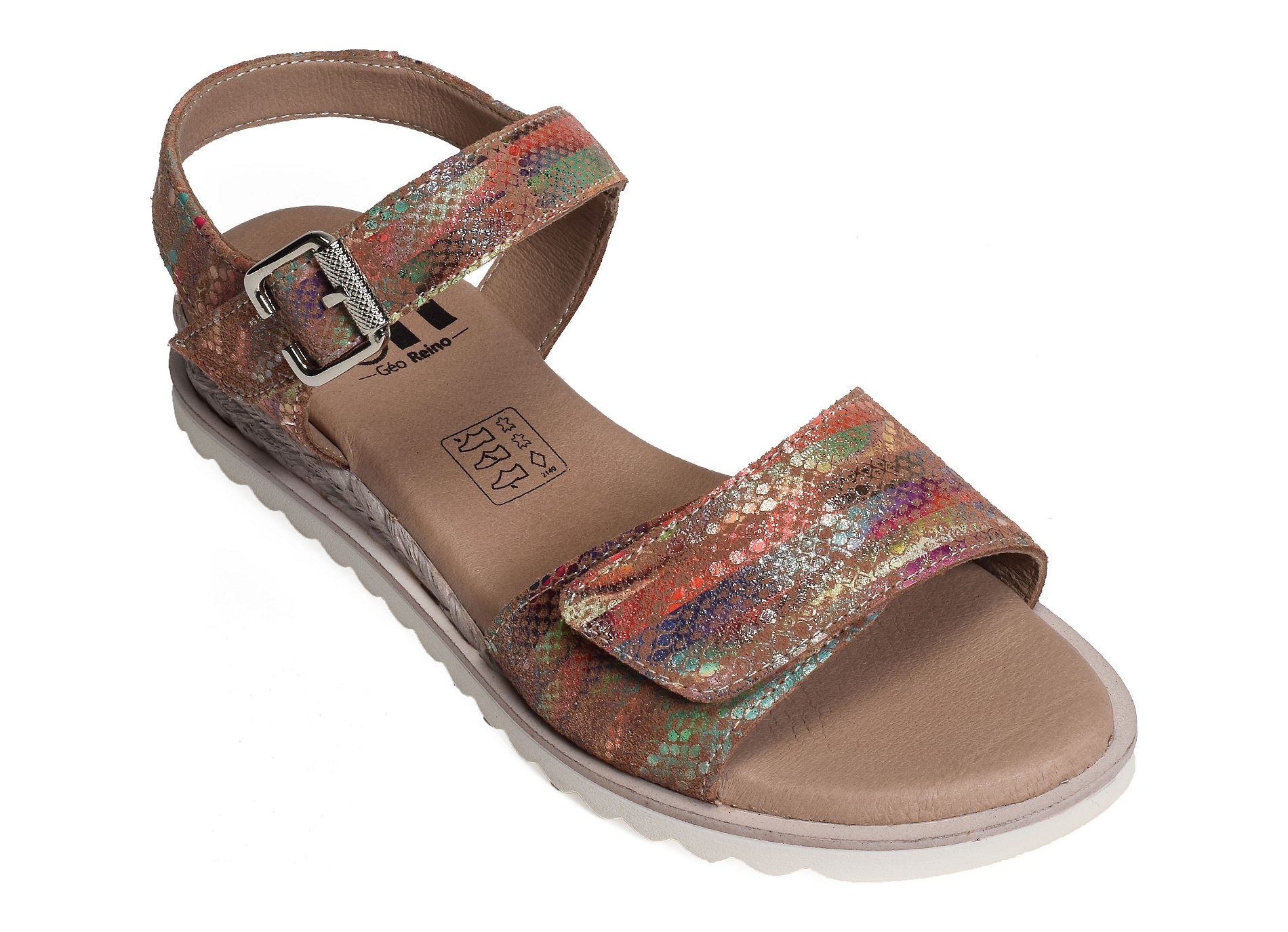 Xiada multicolore