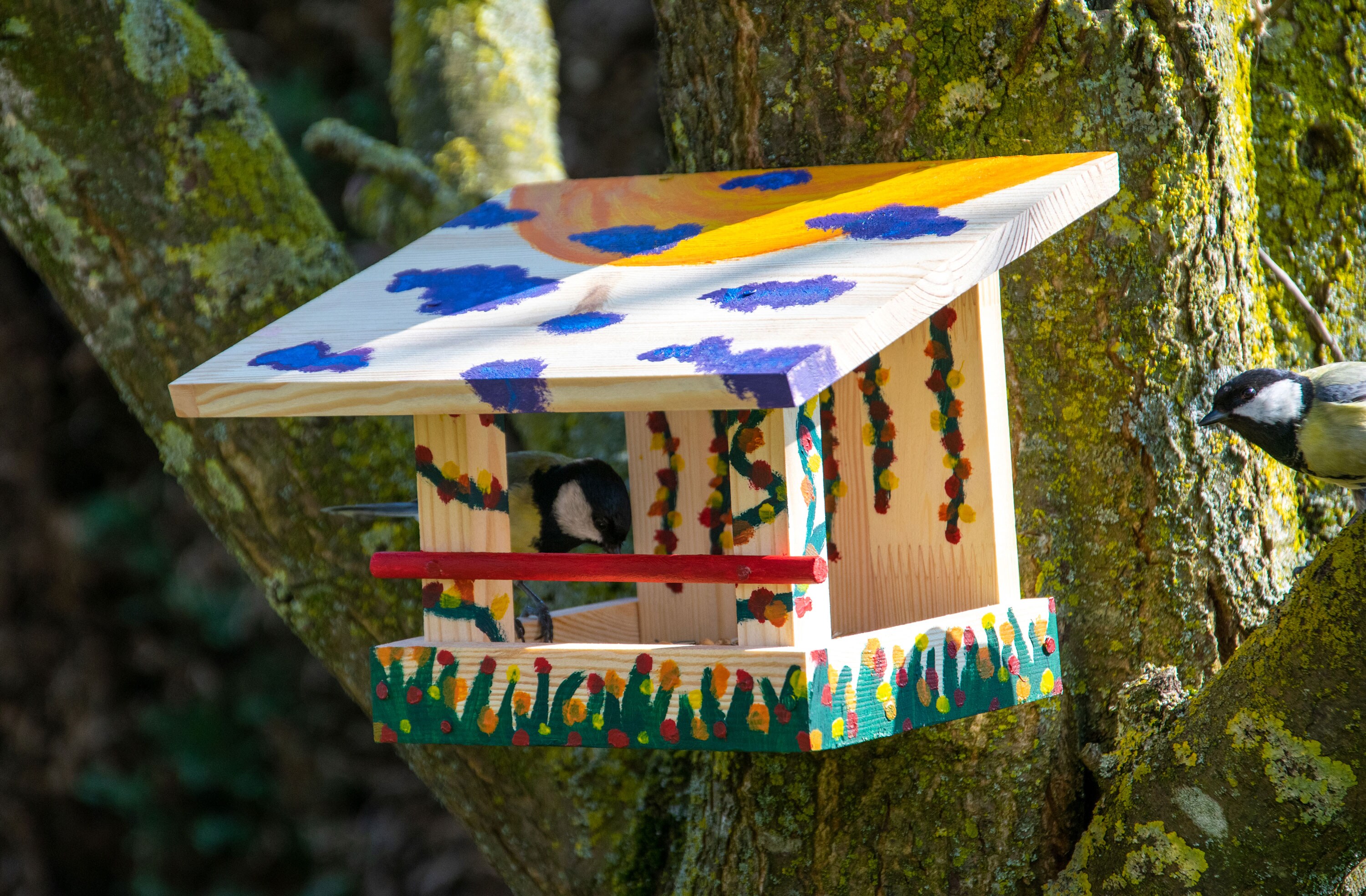 dobar Vogelhaus - Bausatz - versch. Ausführungen