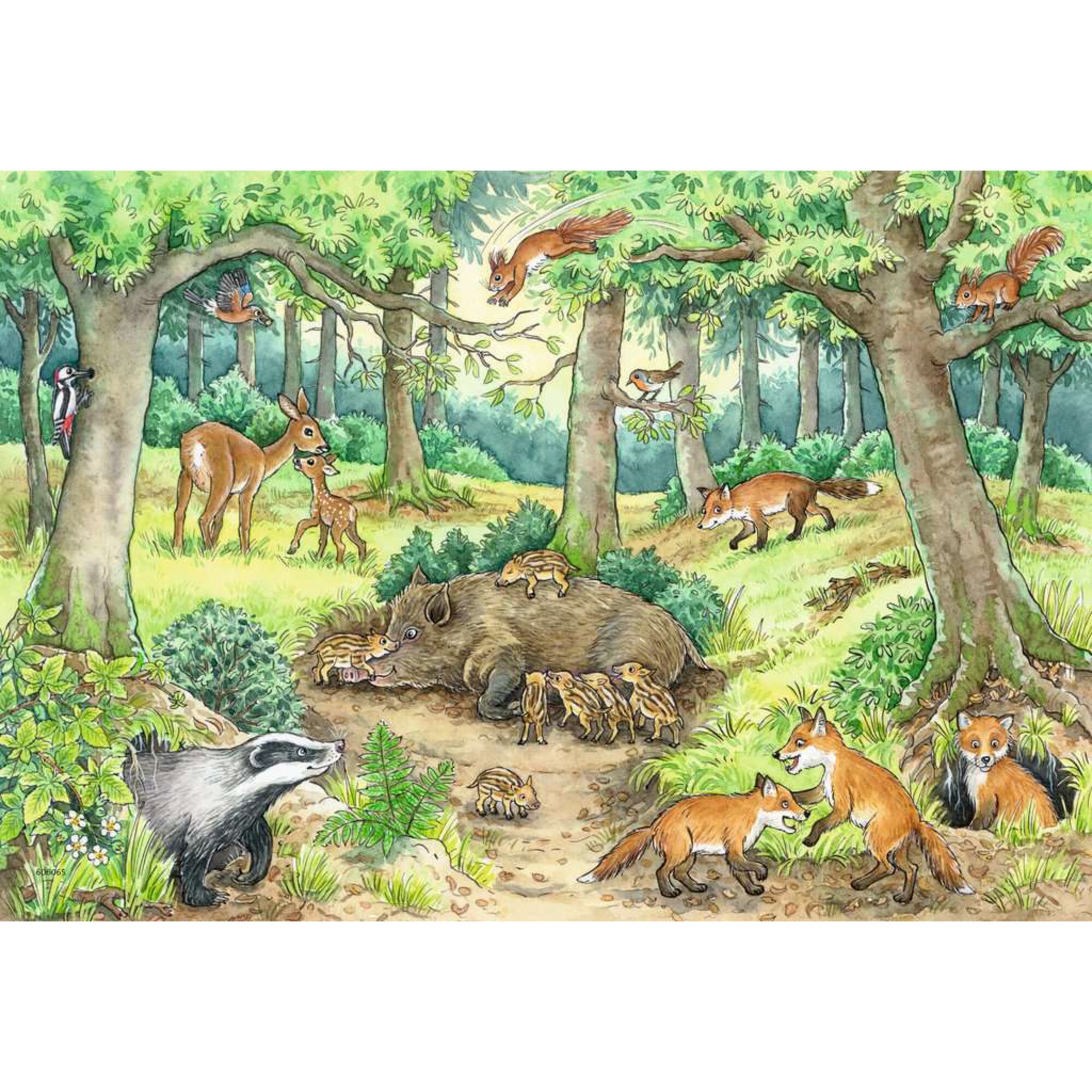 Ravensburger Puzzle Wieso? Weshalb? Warum? Tiere im Wald und auf der Wiese