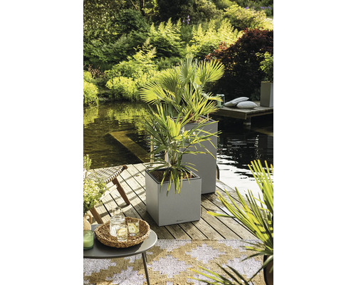 Lechuza Canto Stone 40 LED hoge plantenstandaard, kunststof, 40 x 40 x 76 cm, steengrijs