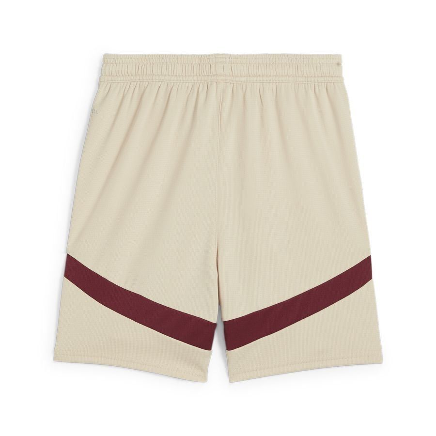 Puma FC Red Bull Salzburg 24/25 Shorts